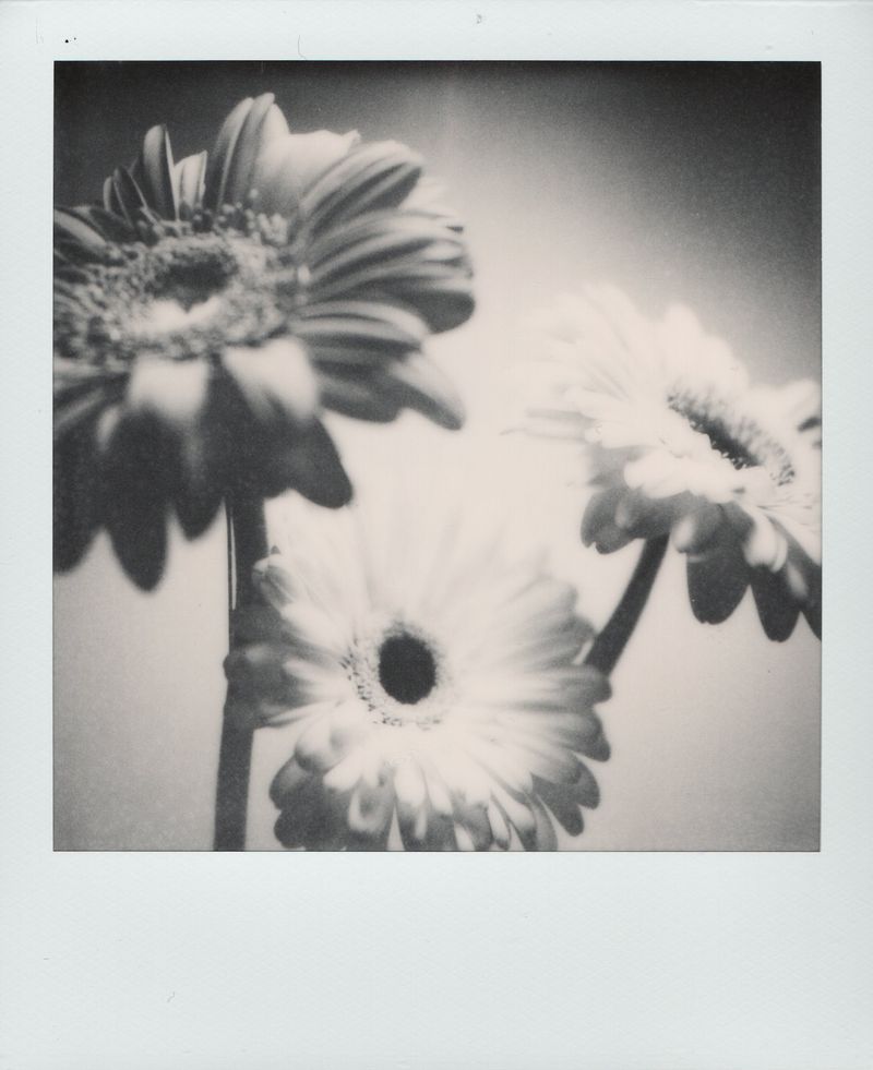 © Canyon - Image from the Have you any dreams you'd like to sell? photography project