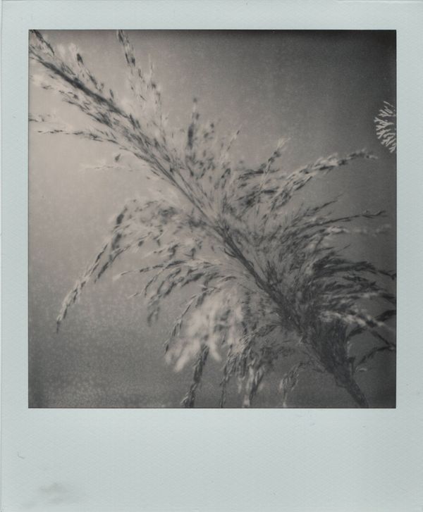 © Canyon - Image from the Have you any dreams you'd like to sell? photography project