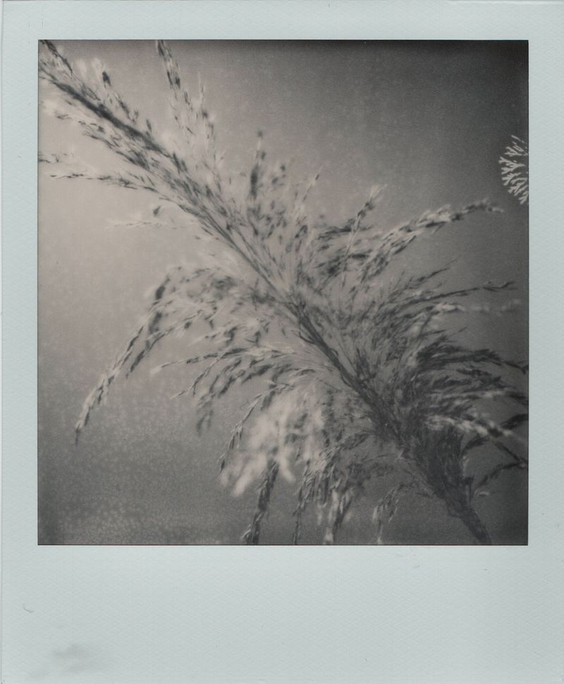 © Canyon - Image from the Have you any dreams you'd like to sell? photography project