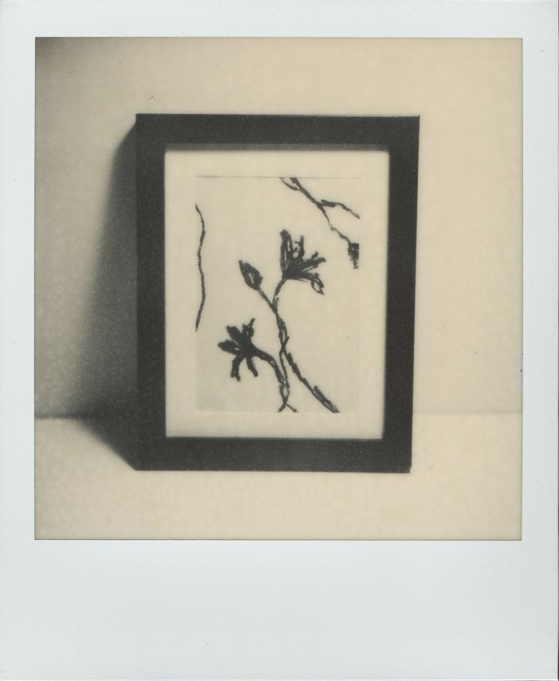 © Canyon - Image from the Have you any dreams you'd like to sell? photography project