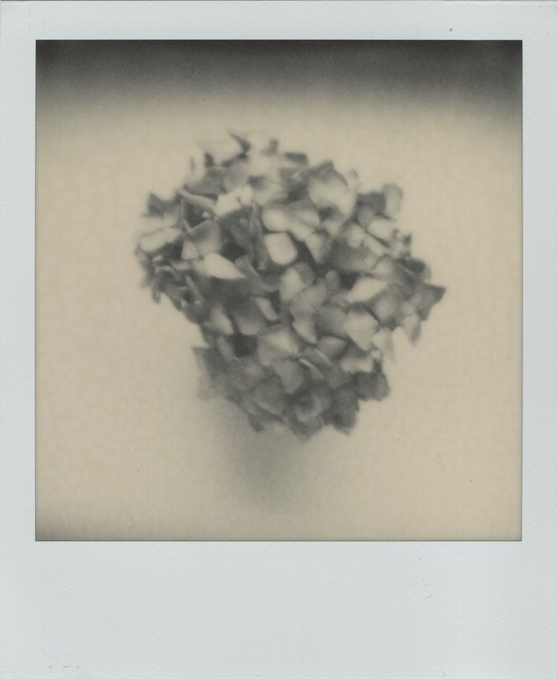 © Canyon - Image from the Have you any dreams you'd like to sell? photography project