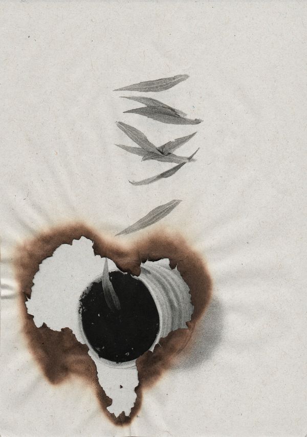 © Canyon - Image from the Wabi Sabi photography project