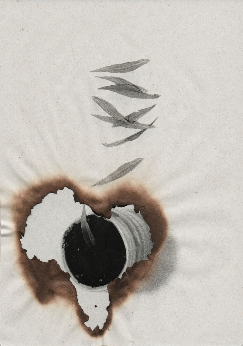 © Canyon - Image from the Wabi Sabi photography project