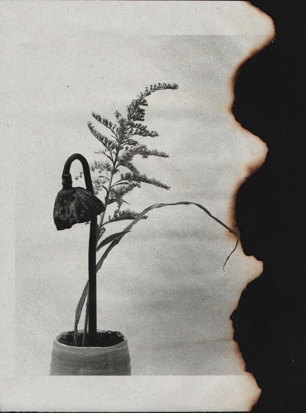 © Canyon - Image from the Wabi Sabi photography project