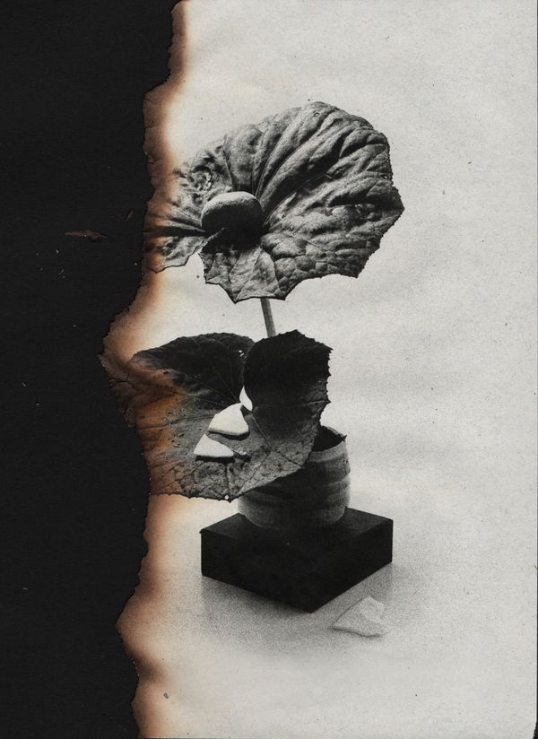 © Canyon - Image from the Wabi Sabi photography project