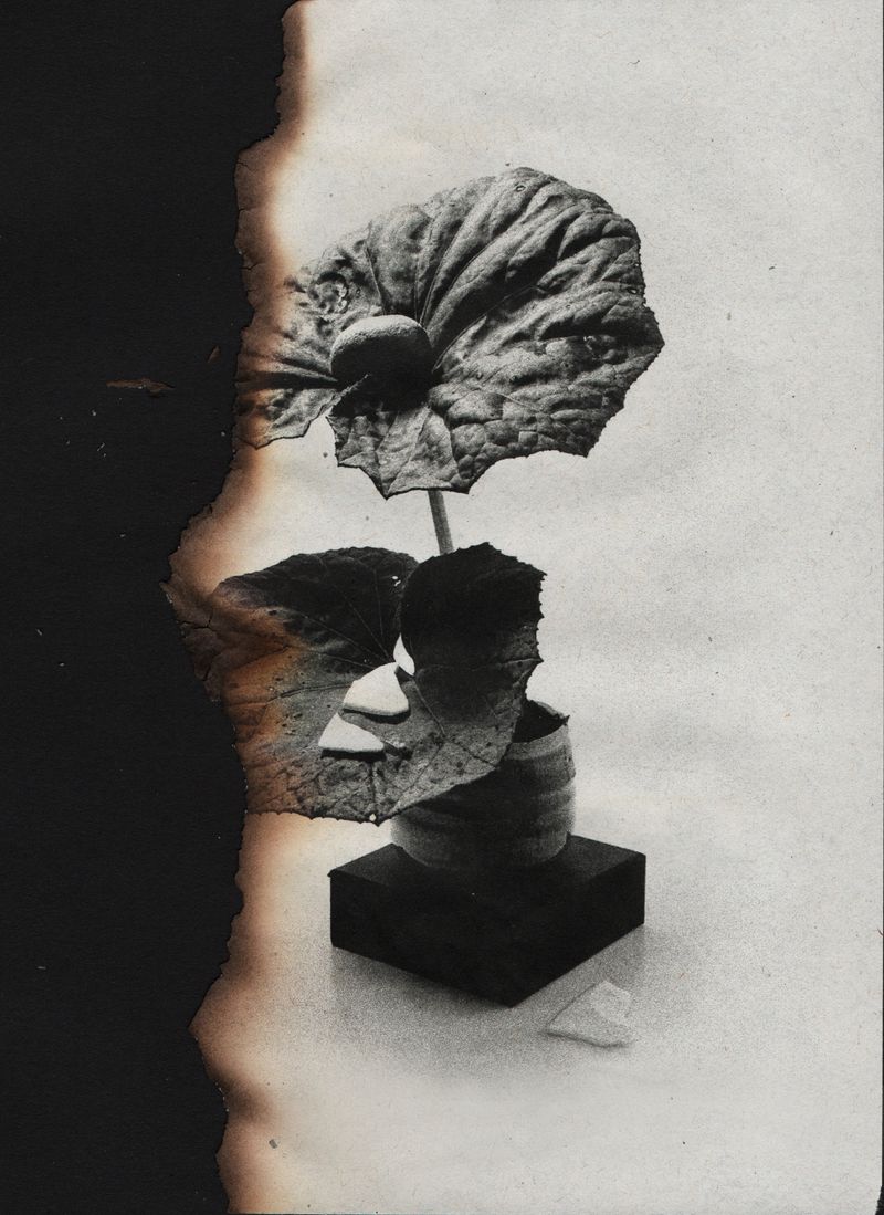 © Canyon - Image from the Wabi Sabi photography project