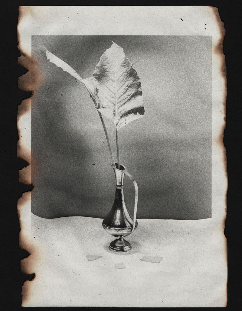 © Canyon - Image from the Wabi Sabi photography project