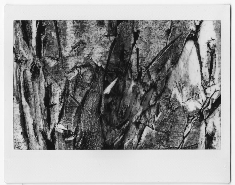 © Canyon - Image from the Drafts never make sense photography project