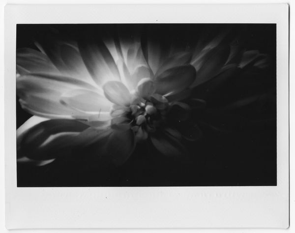 © Canyon - Image from the Drafts never make sense photography project