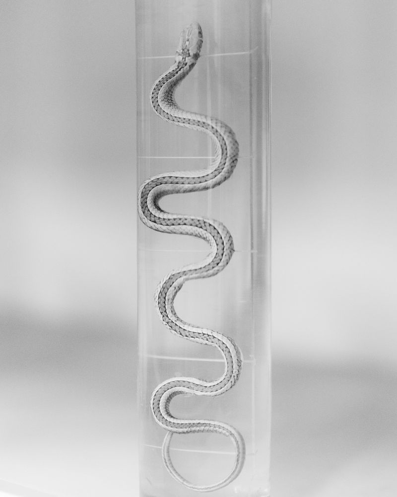 © Dimitri Stefanov - Image from the After the Fathers photography project