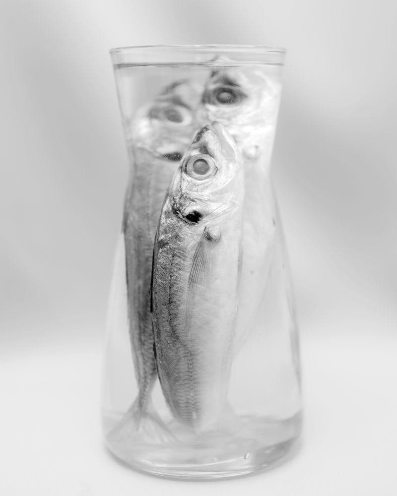 © Dimitri Stefanov - Image from the After the Fathers photography project