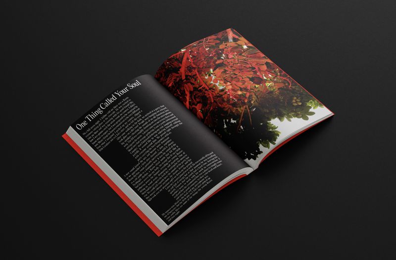 © German Iraki - Book view 03