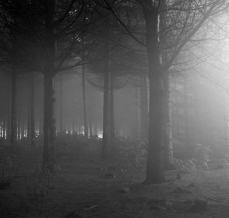 © Nick Meyer - Image from the Archive photography project
