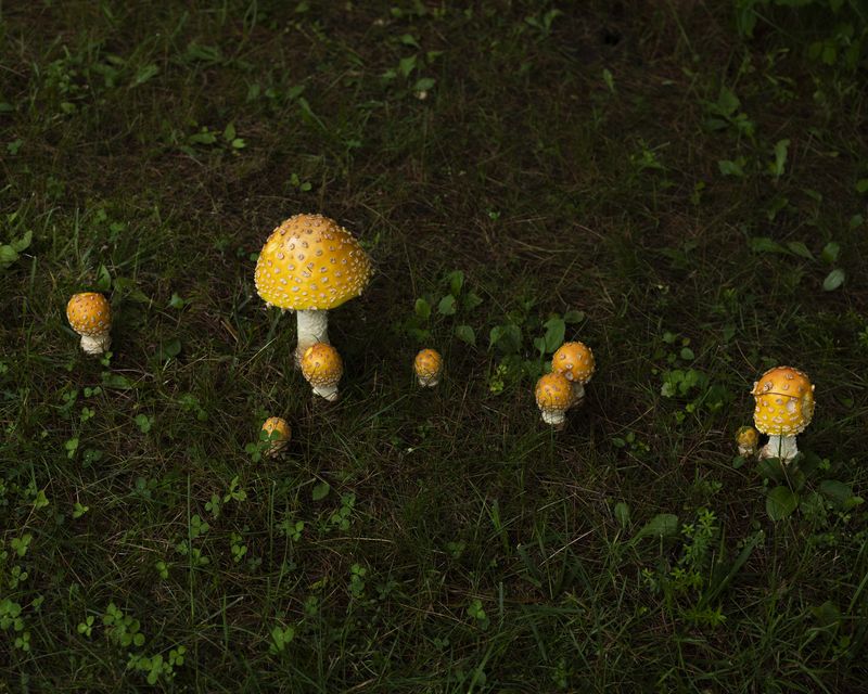© Nick Meyer - Image from the Good Bones photography project