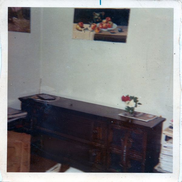 © Diana Salomon - Image from the Americanized photography project