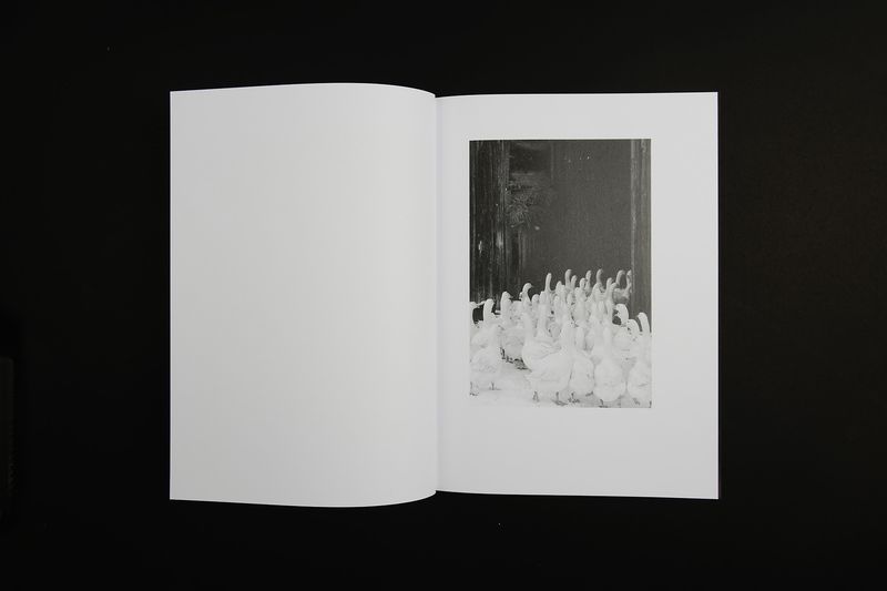 Image from a project on PhMuseum