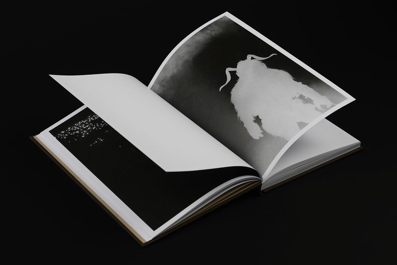 Image from a project on PhMuseum