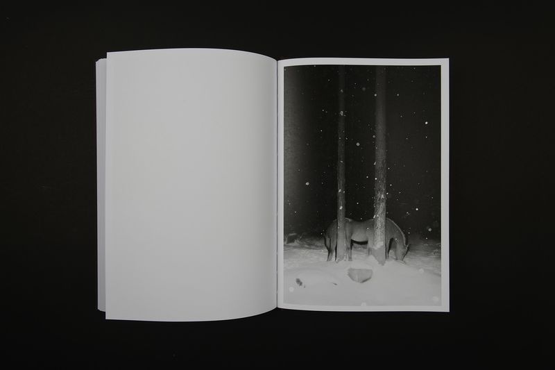 Image from a project on PhMuseum