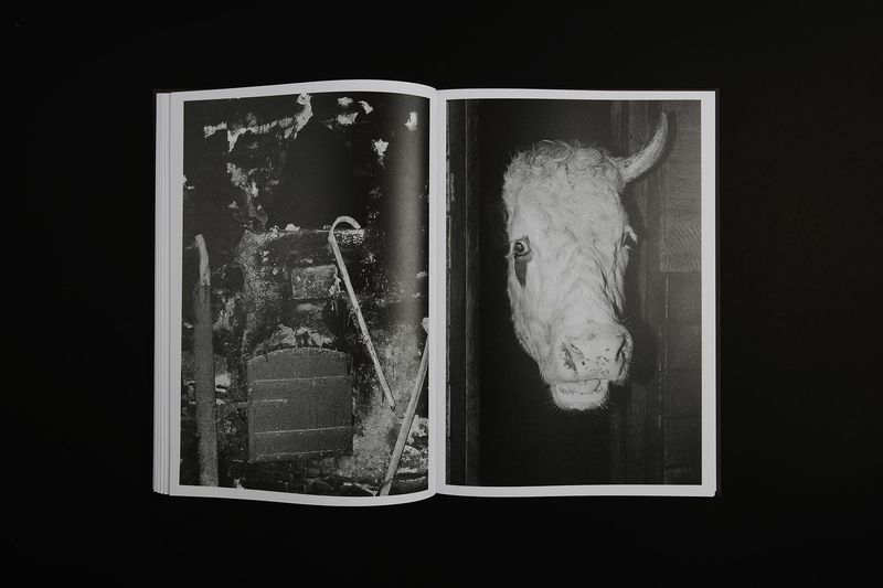 Image from a project on PhMuseum