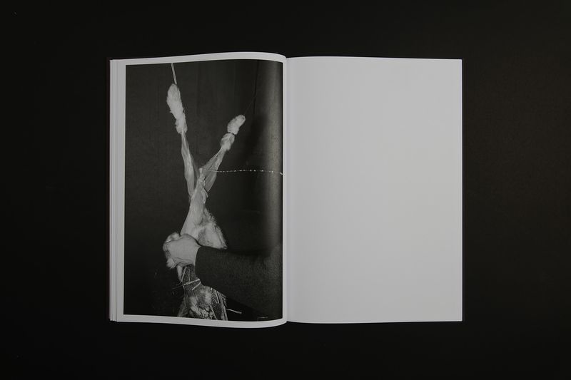 Image from a project on PhMuseum