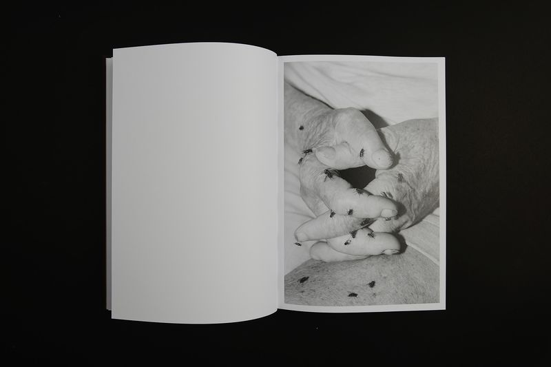 Image from a project on PhMuseum