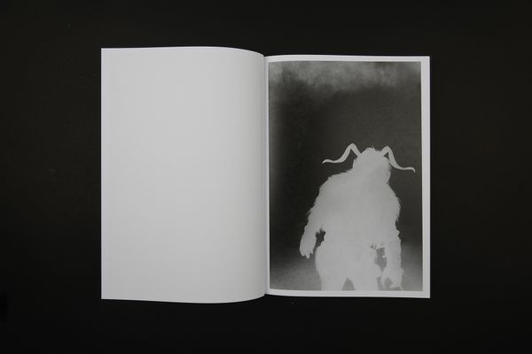 Image from a project on PhMuseum