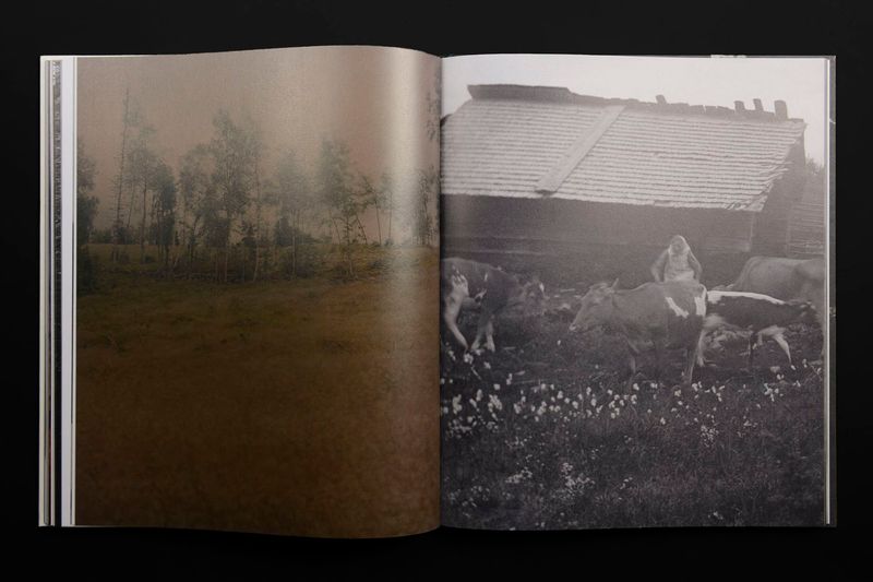 Image from a project on PhMuseum