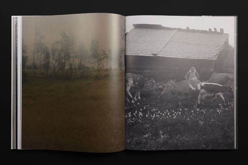Image from a project on PhMuseum