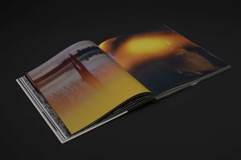 Image from a project on PhMuseum