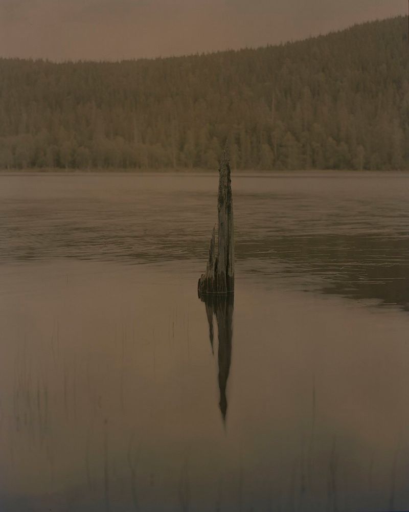 Image from a project on PhMuseum