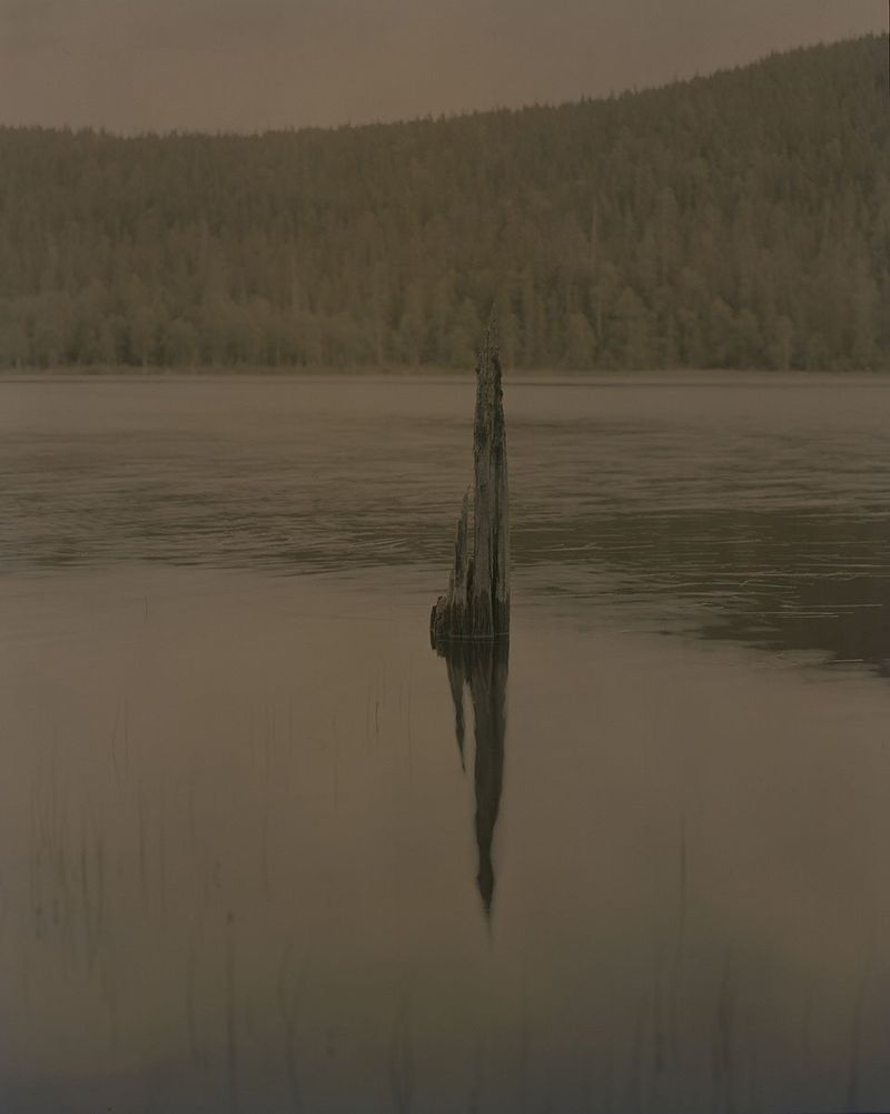 Image from a project on PhMuseum