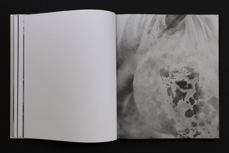 Image from a project on PhMuseum