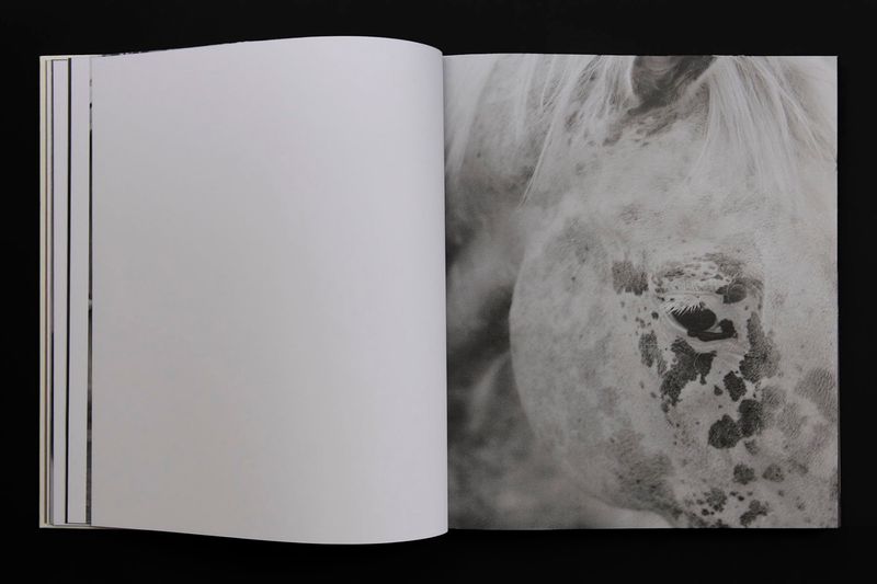 Image from a project on PhMuseum