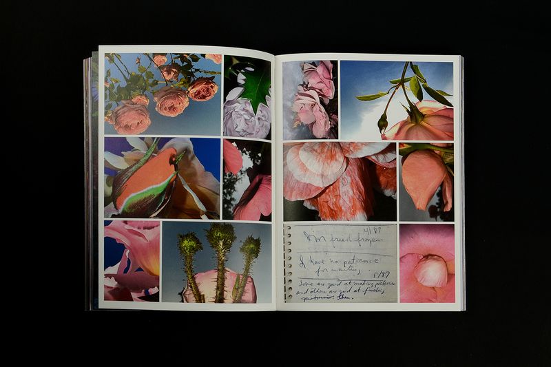 Image from a project on PhMuseum