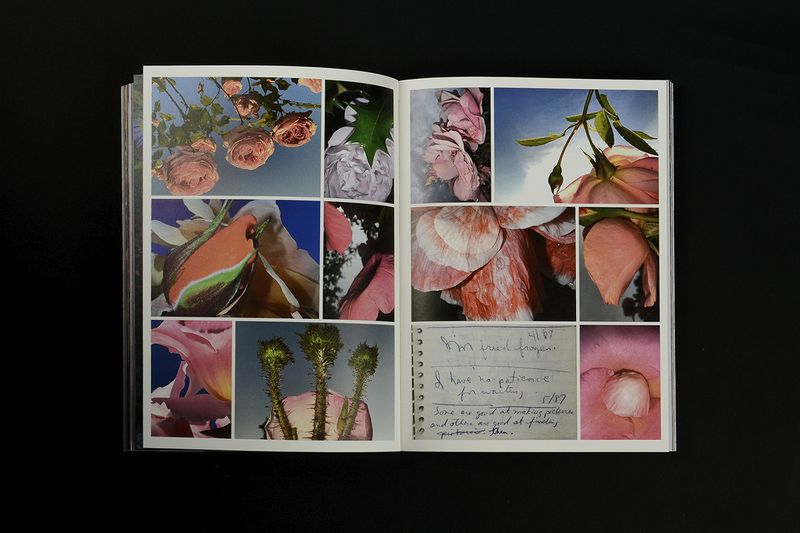 Image from a project on PhMuseum