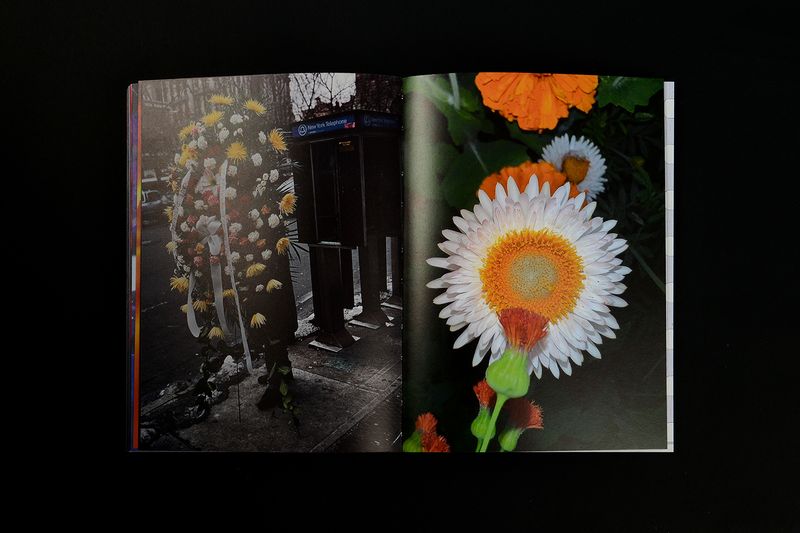 Image from a project on PhMuseum