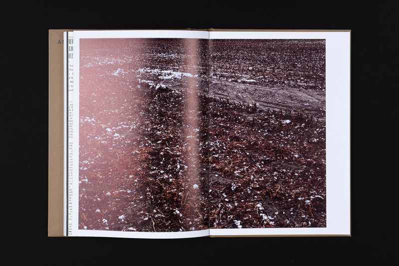 Image from a project on PhMuseum