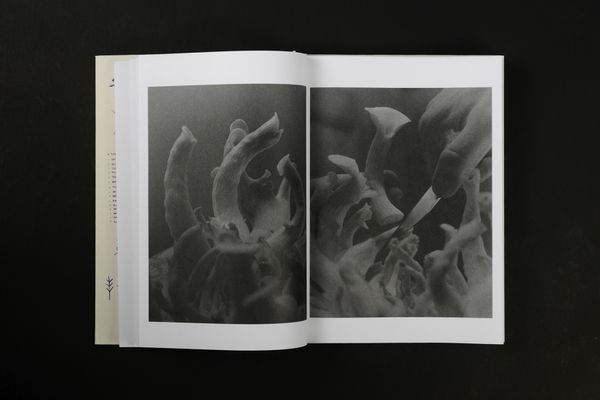 Image from a project on PhMuseum