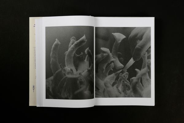 Image from a project on PhMuseum