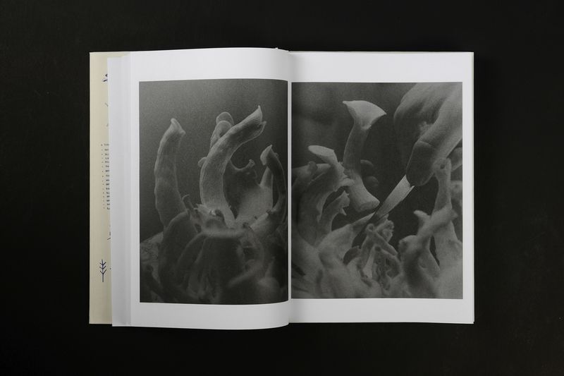 Image from a project on PhMuseum