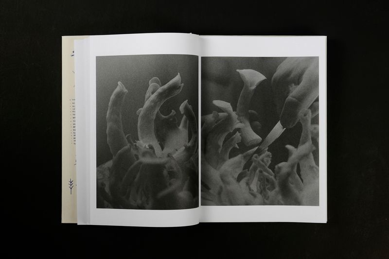 Image from a project on PhMuseum