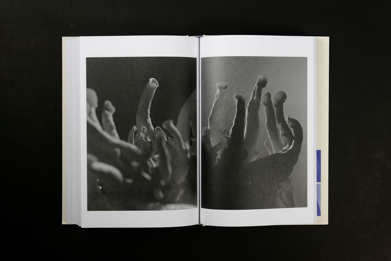 Image from a project on PhMuseum