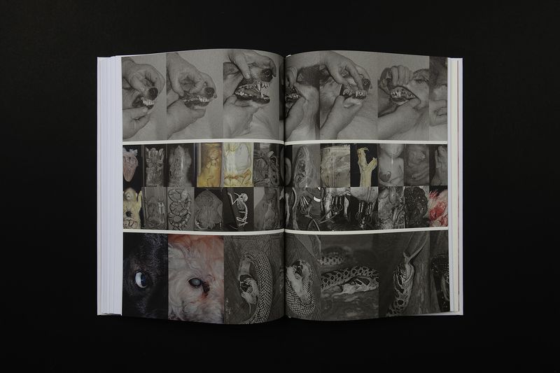 Image from a project on PhMuseum