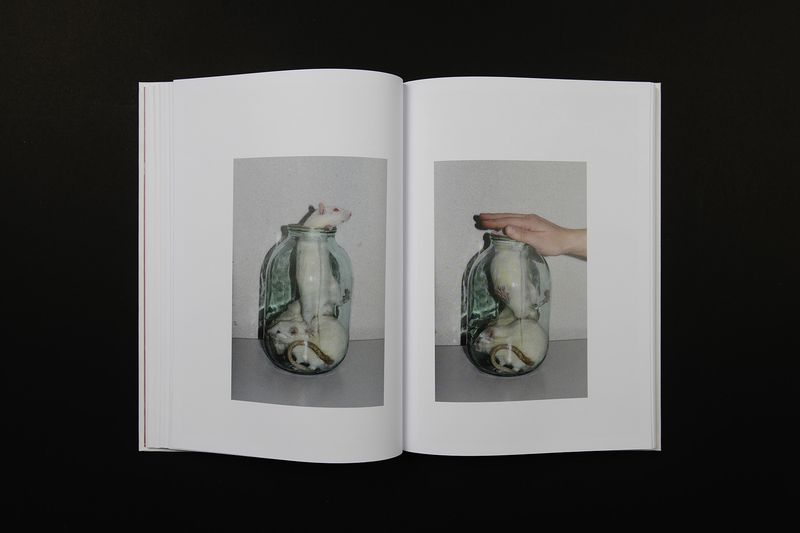 Image from a project on PhMuseum