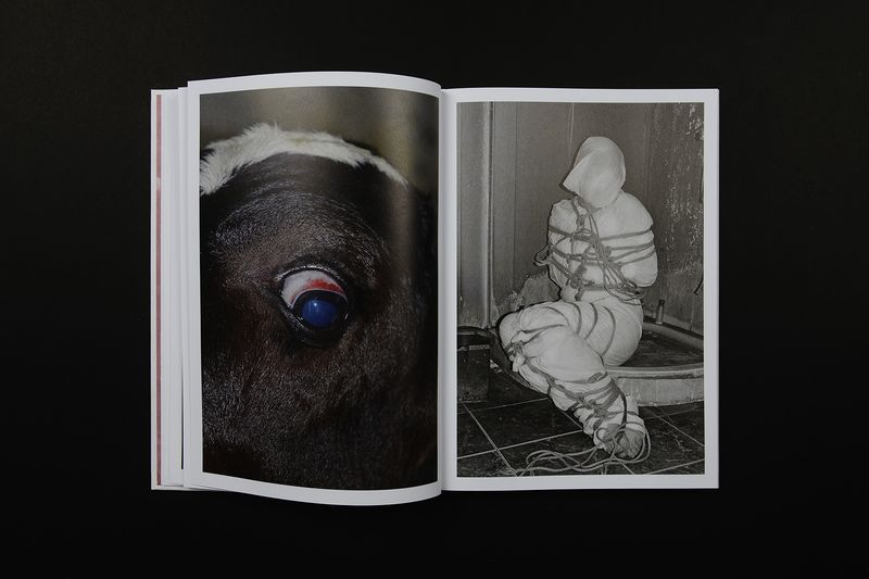 Image from a project on PhMuseum