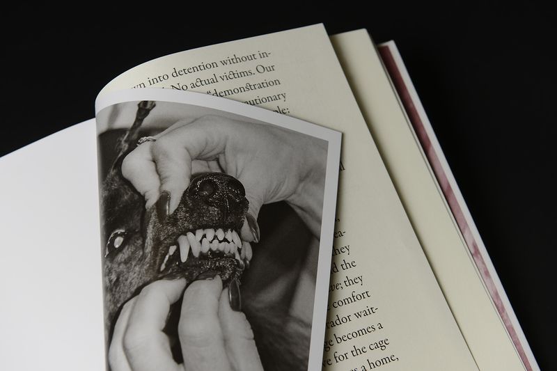 Image from a project on PhMuseum