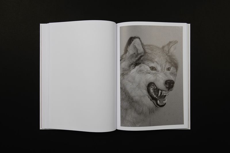Image from a project on PhMuseum