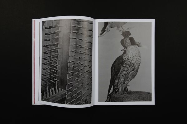 Image from a project on PhMuseum