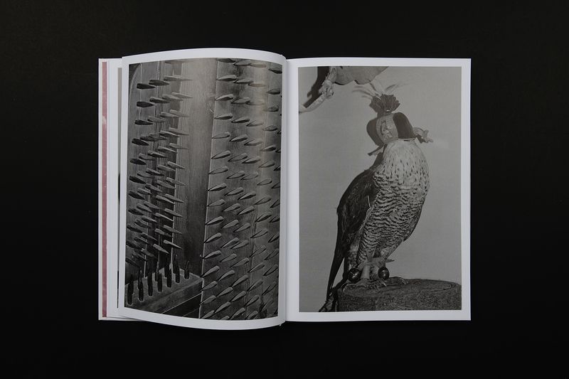 Image from a project on PhMuseum