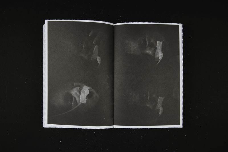 Image from a project on PhMuseum